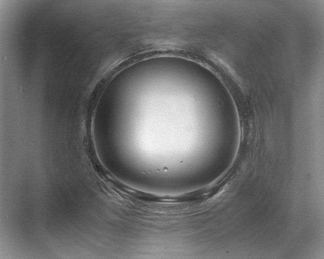 X0000071811261200606301218