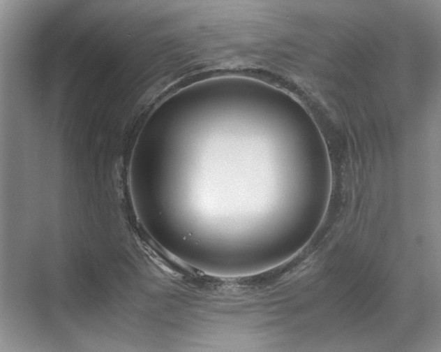 X0000071811265200606301218