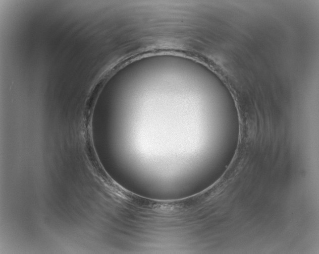X0000071811266200606301218