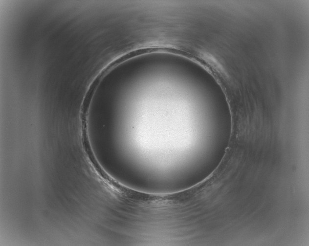 X0000071811268200606301218