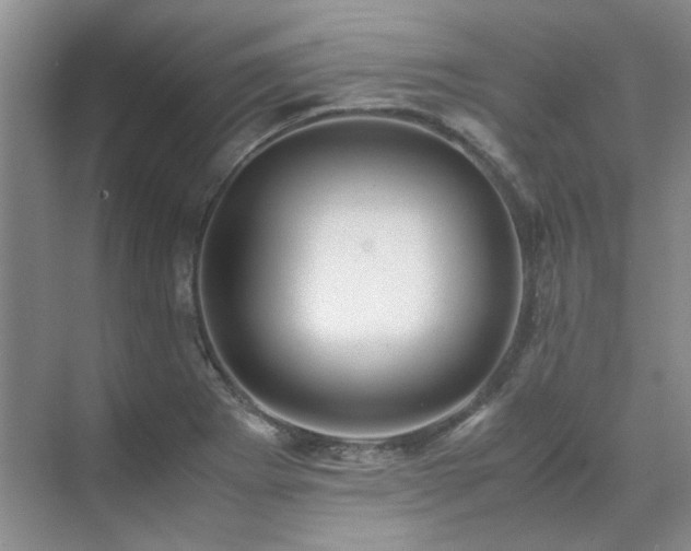 X0000071811273200606301217