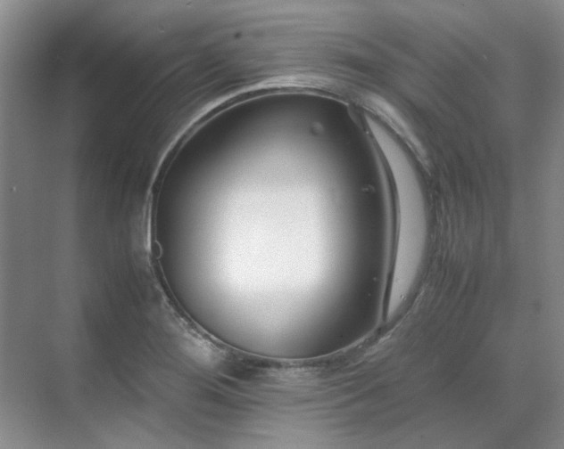 X0000071811276200606301217
