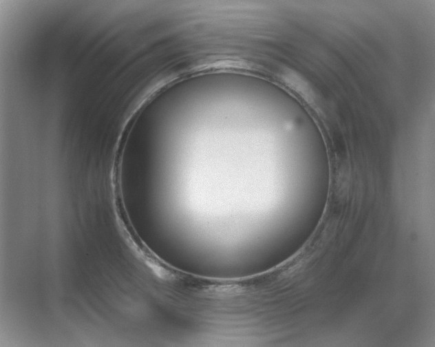 X0000071811282200606301217