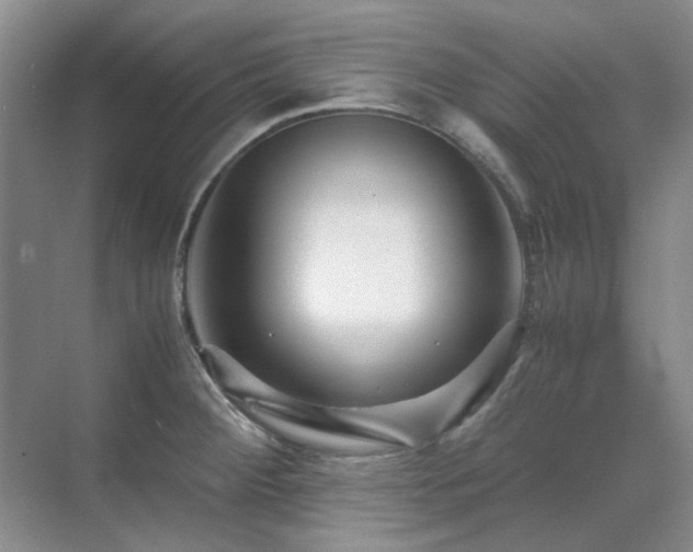 X0000071811284200606301217