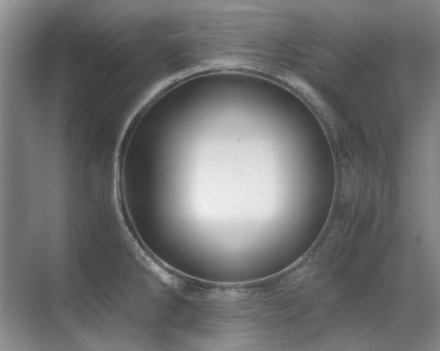 X0000071811286200606301217