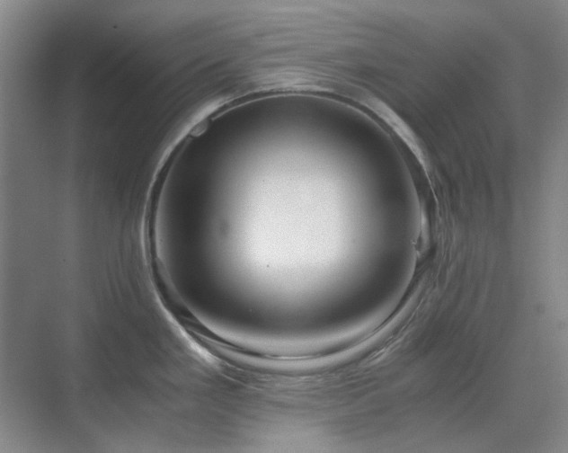 X0000071811293200606301217