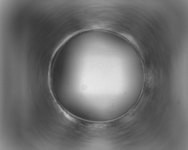 X0000071811294200606301217