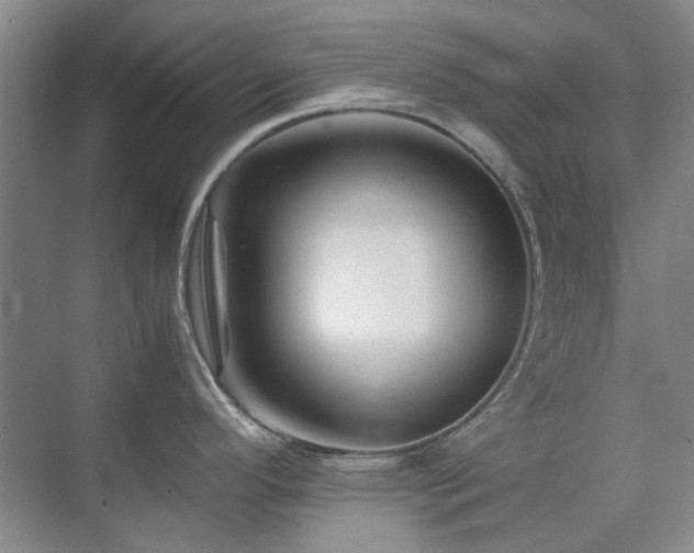 X0000071811296200606301217
