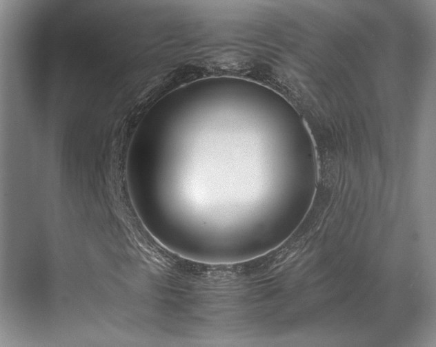 X0000071811297200606301216