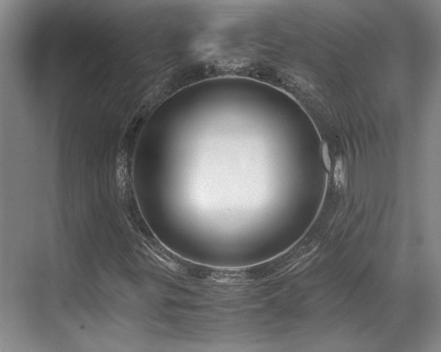 X0000071811299200606301216