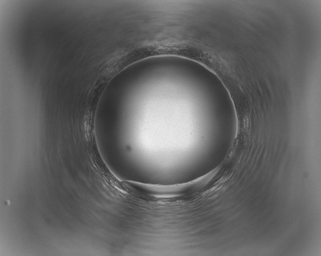 X0000071811300200606301216