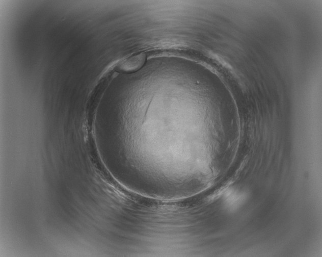 X0000071811306200606301216