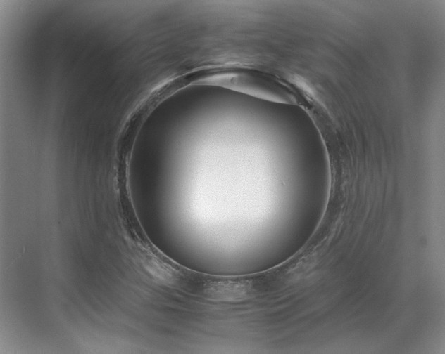 X0000071811307200606301216