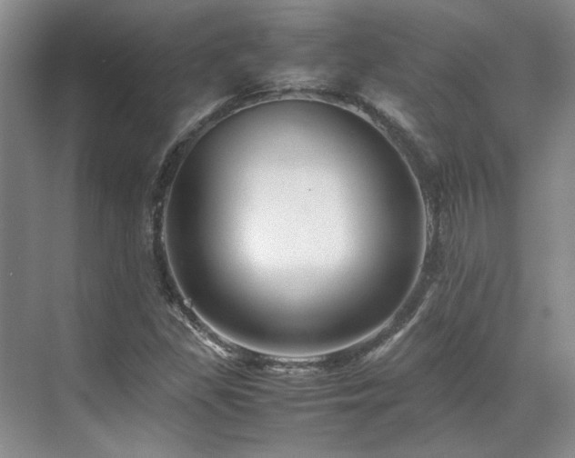 X0000071811309200606301216