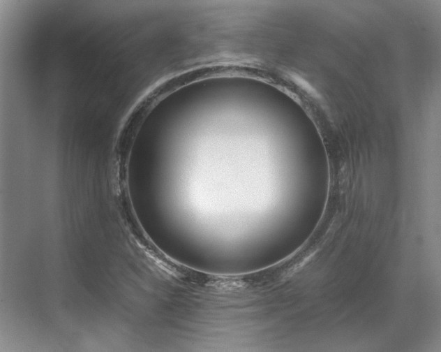 X0000071811310200606301216