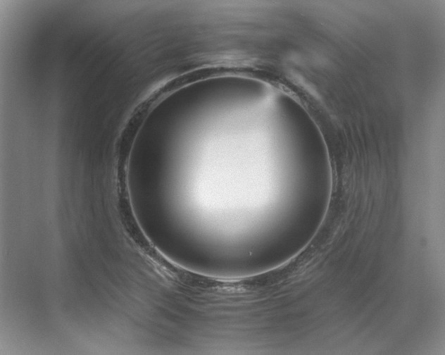 X0000071811315200606301217