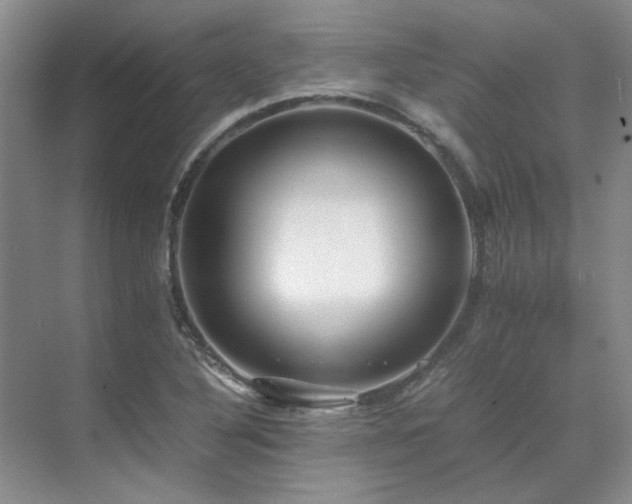 X0000071811316200606301217