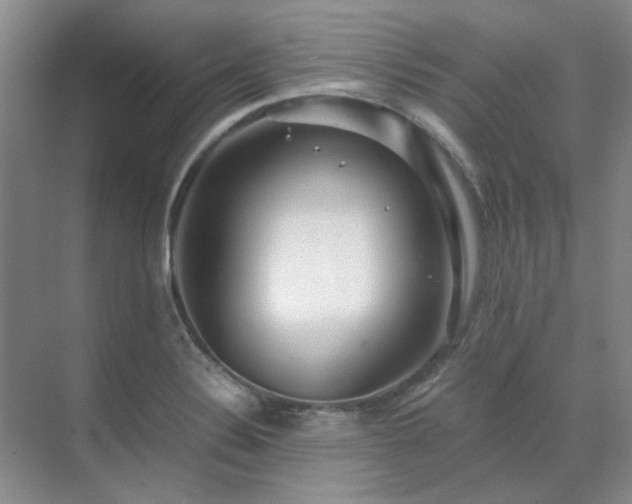 X0000071811324200606301217