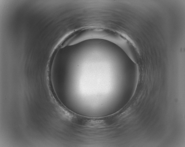 X0000071811325200606301217