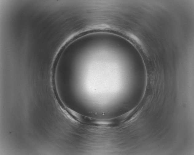 X0000071811326200606301217