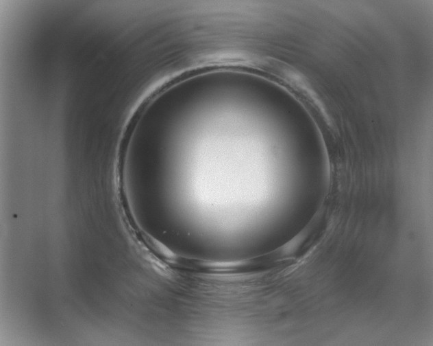 X0000071811328200606301217