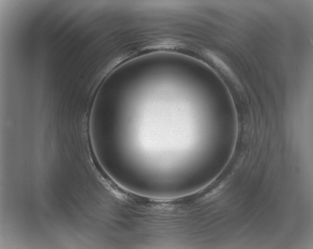 X0000071811329200606301217