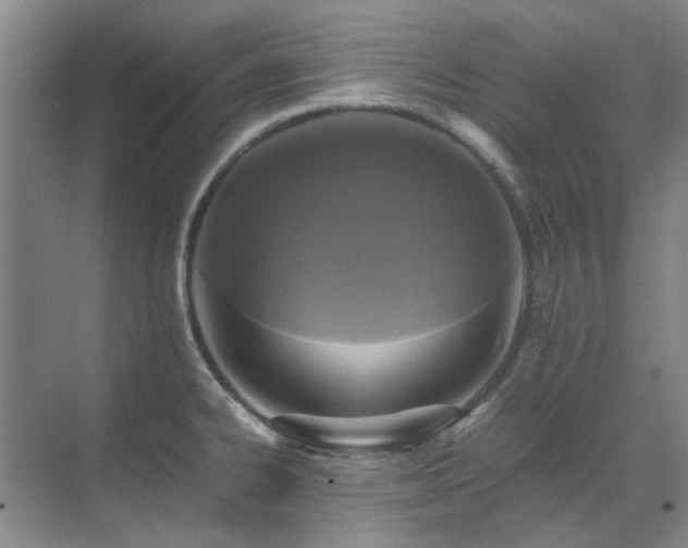 X0000071811334200606301217