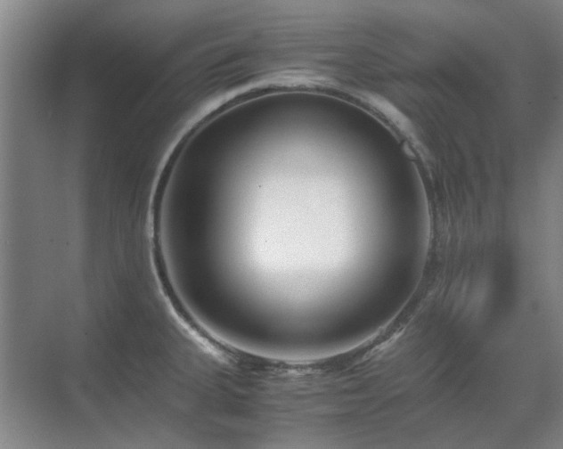 X0000071811335200606301217
