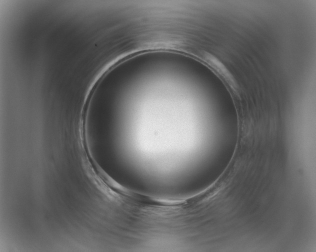X0000071811340200606301217