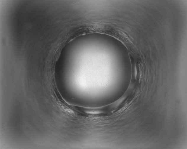 X0000071811345200606301216