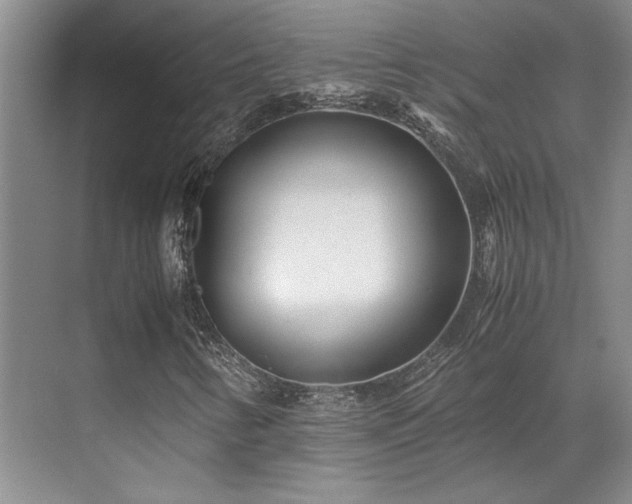 X0000071811346200606301216
