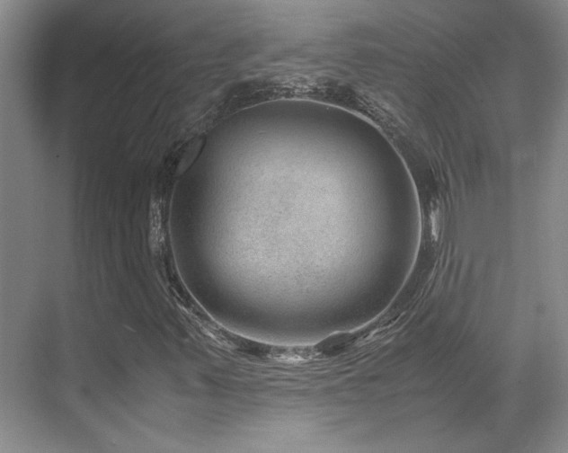 X0000071811347200606301216