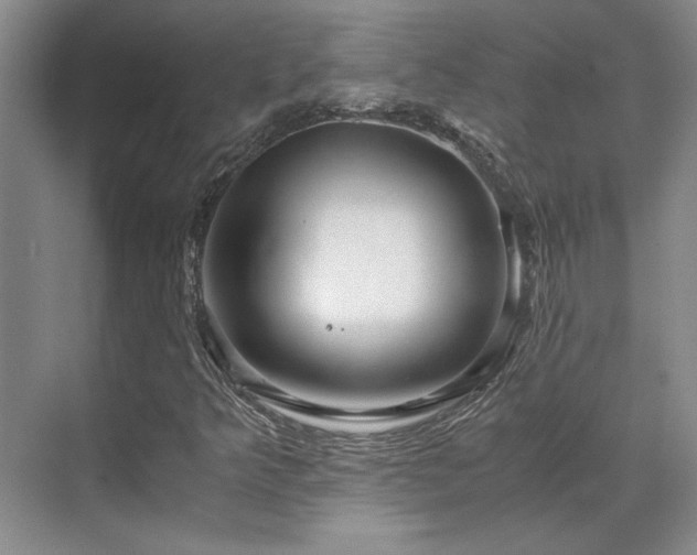X0000071811349200606301216