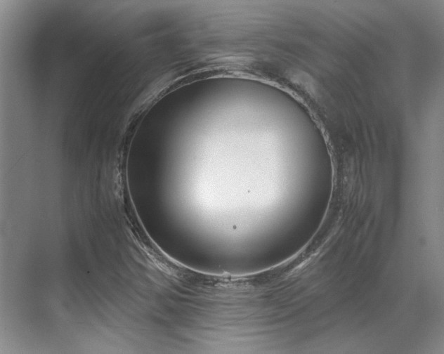 X0000071811354200606301216