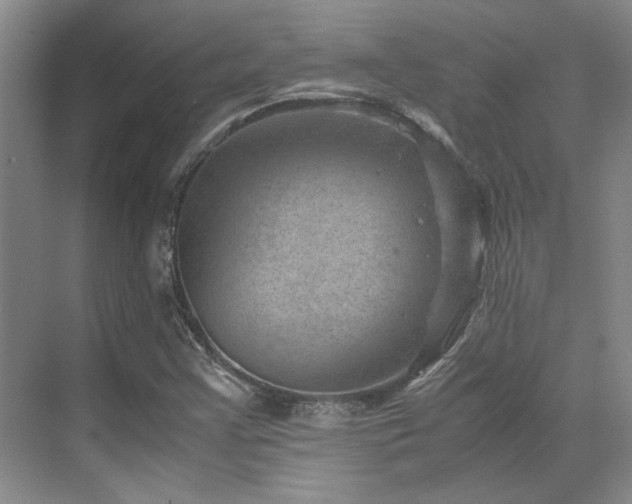 X0000071811355200606301216