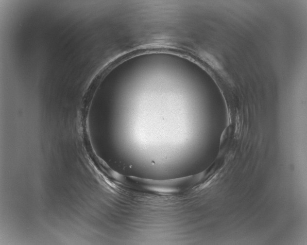 X0000071811356200606301216
