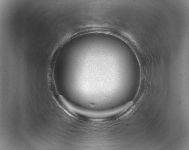 X0000071811357200606301216