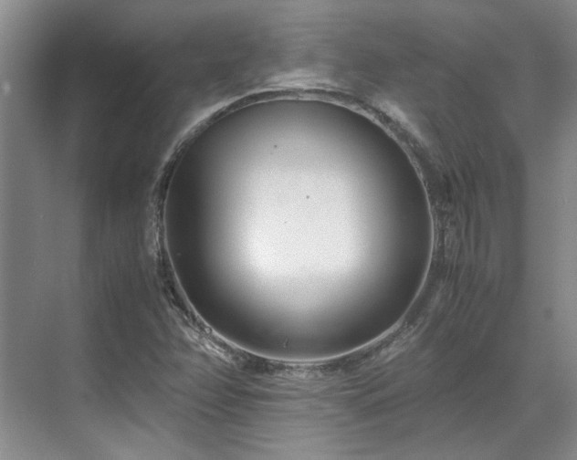 X0000071811358200606301216
