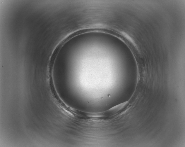 X0000071811364200606301216