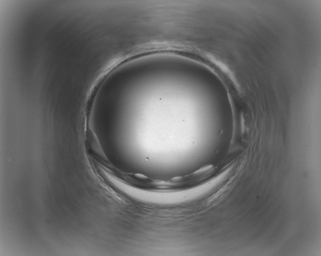 X0000071811365200606301216