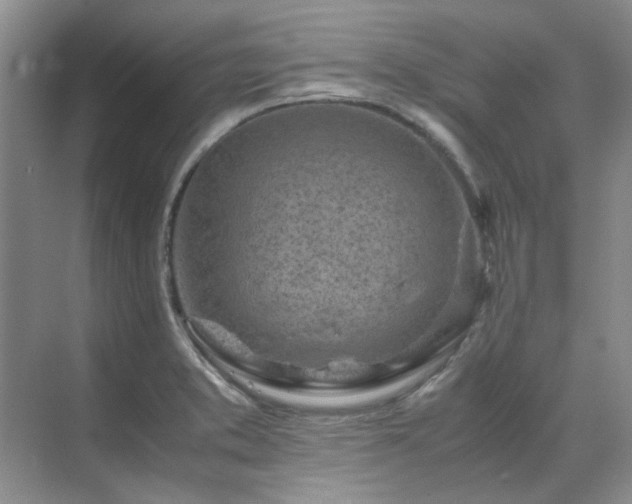 X0000071811373200606301216