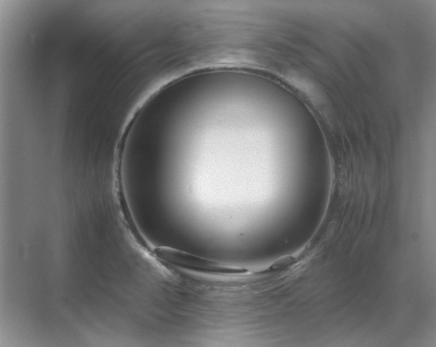 X0000071811374200606301216