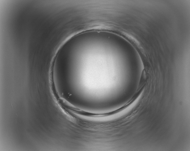 X0000071811375200606301216