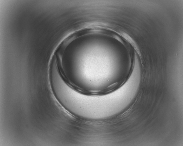 X0000071811384200606301216