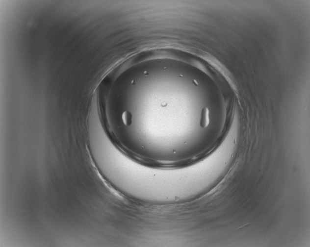 X0000071811385200606301216