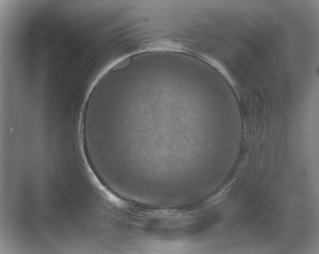 X0000071811387200606301216