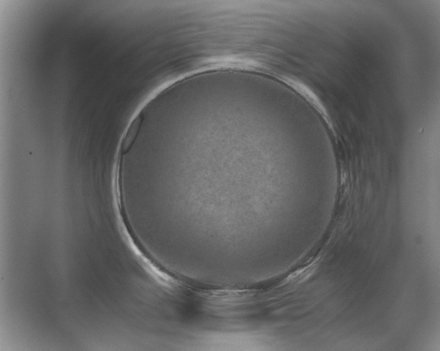 X0000071811391200606301215