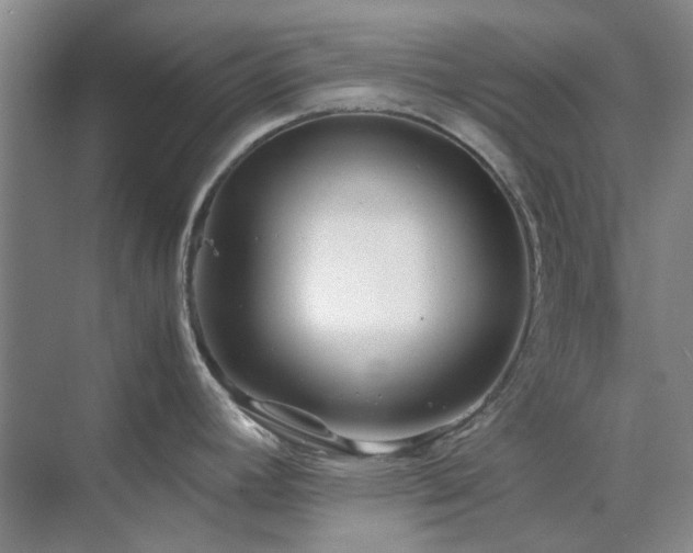 X0000071811392200606301215