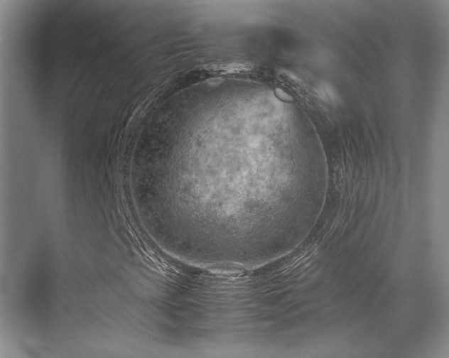 X0000071811393200606301215