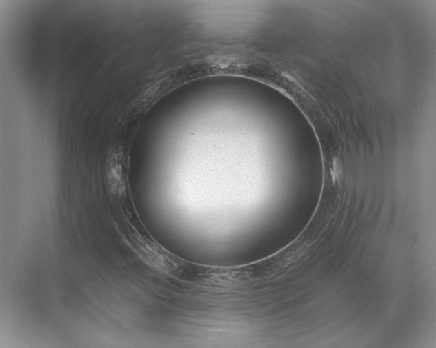 X0000071811396200606301215